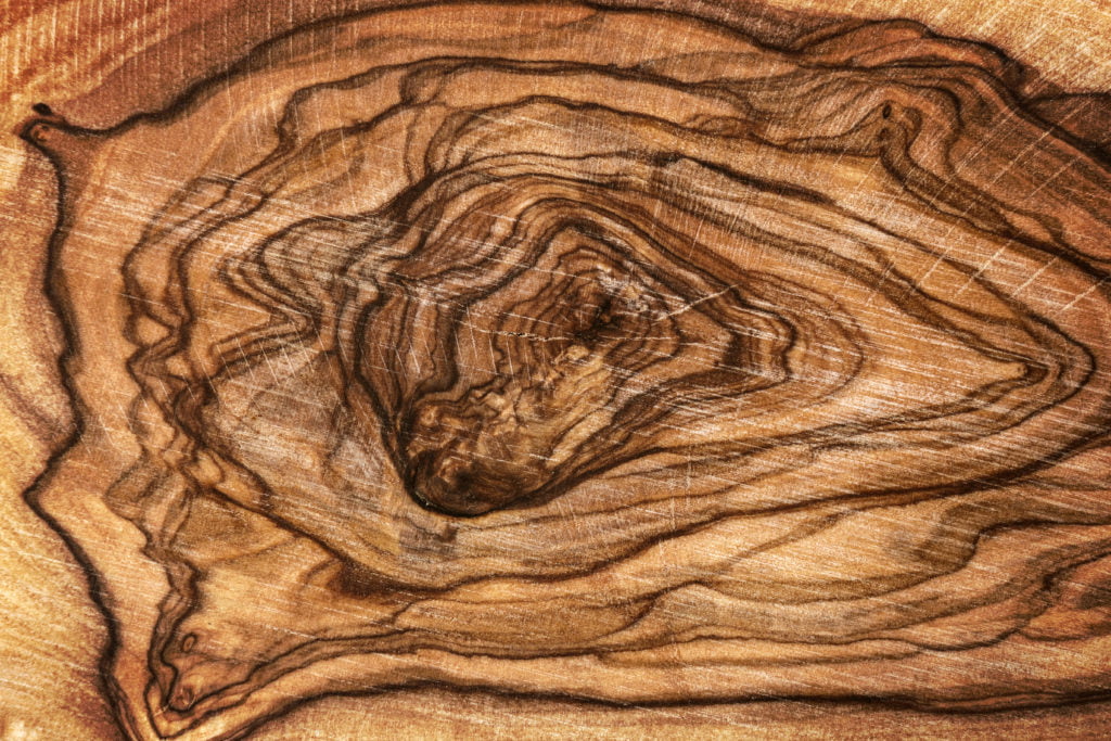 struktura drewna i słoje